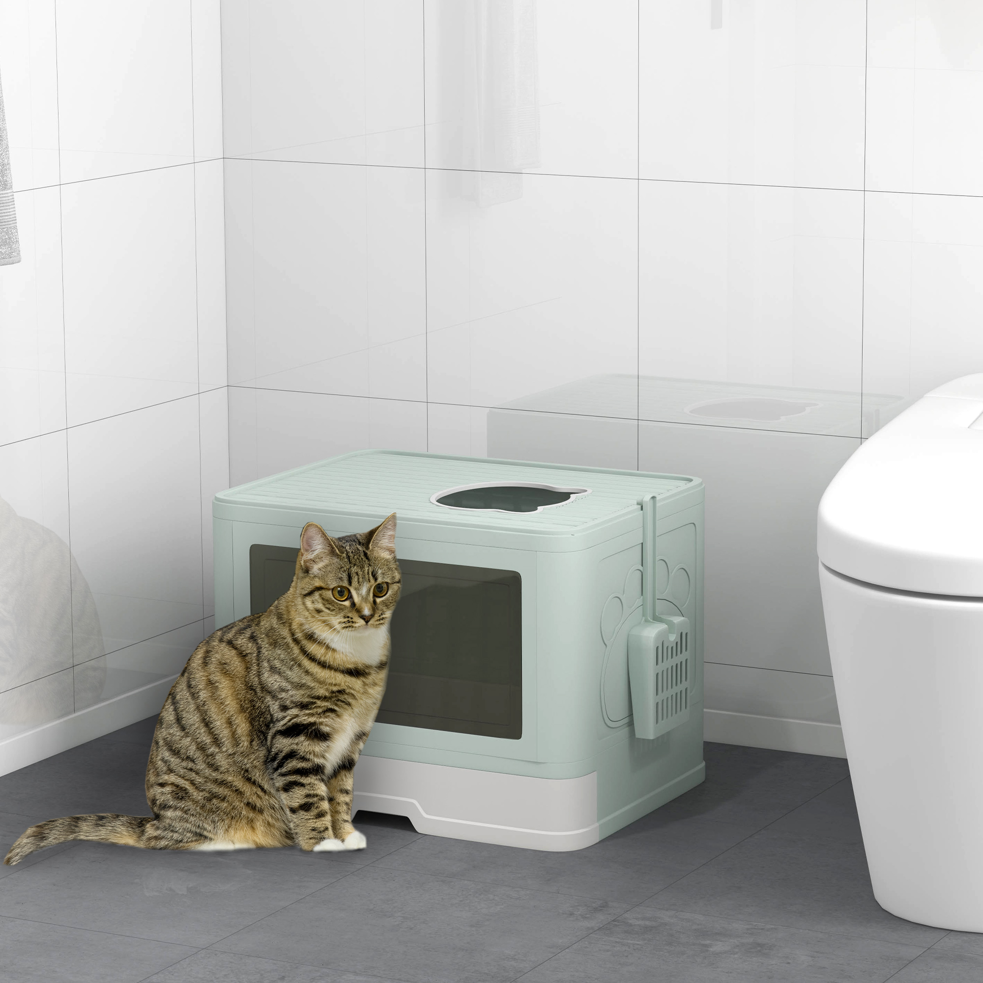 Un gatto tigrato siede accanto a una lettiera verde chiaro e a un water bianco.