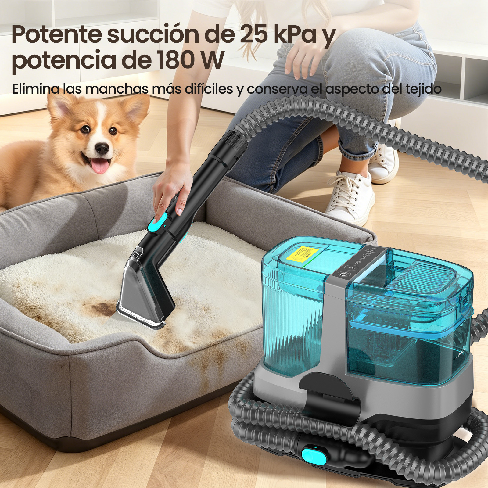 Un perro mira mientras una persona usa un quitamanchas en una cama para perros.