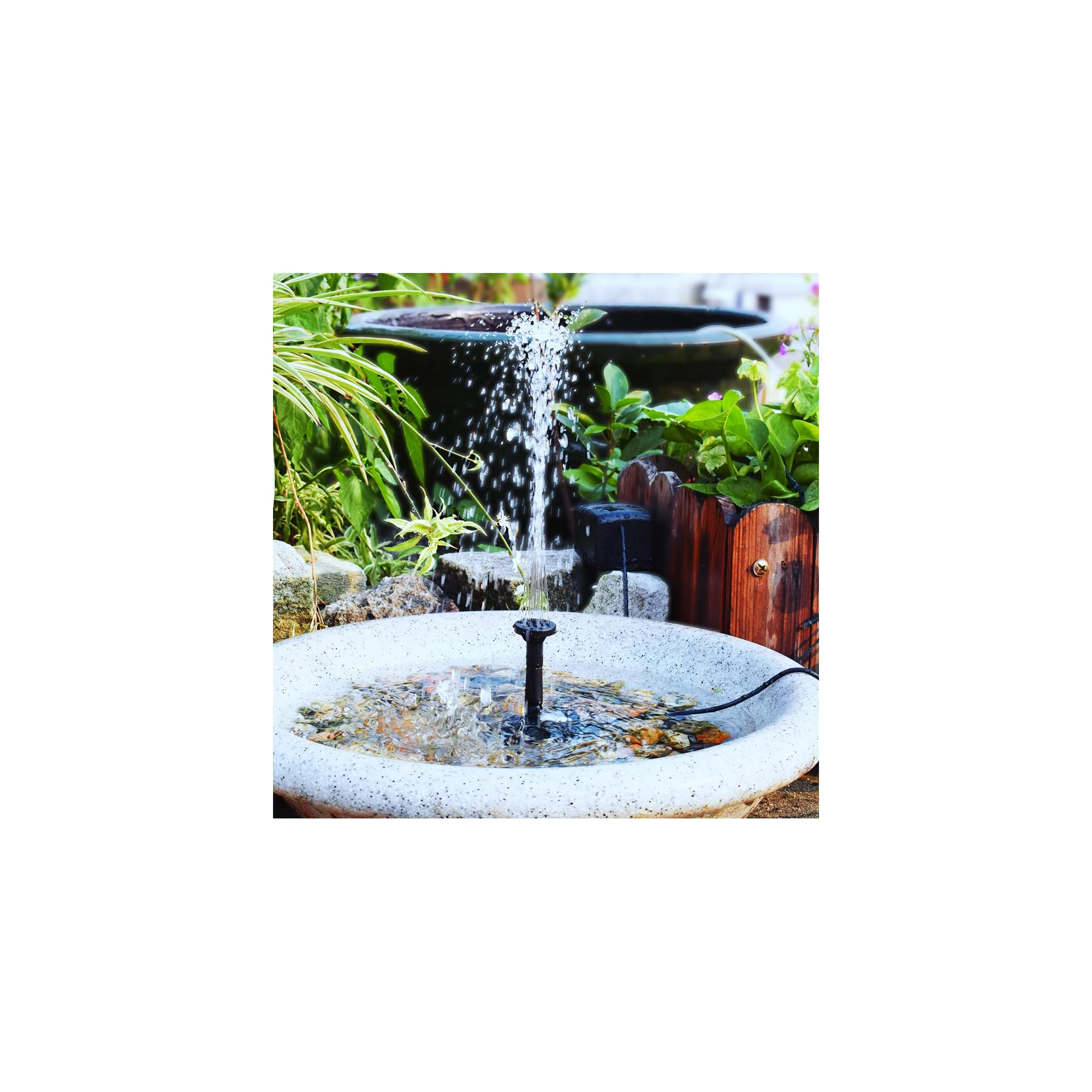 Ein kleiner Brunnen mit Wasserstrahl in einem Steinbecken, umgeben von Grün.