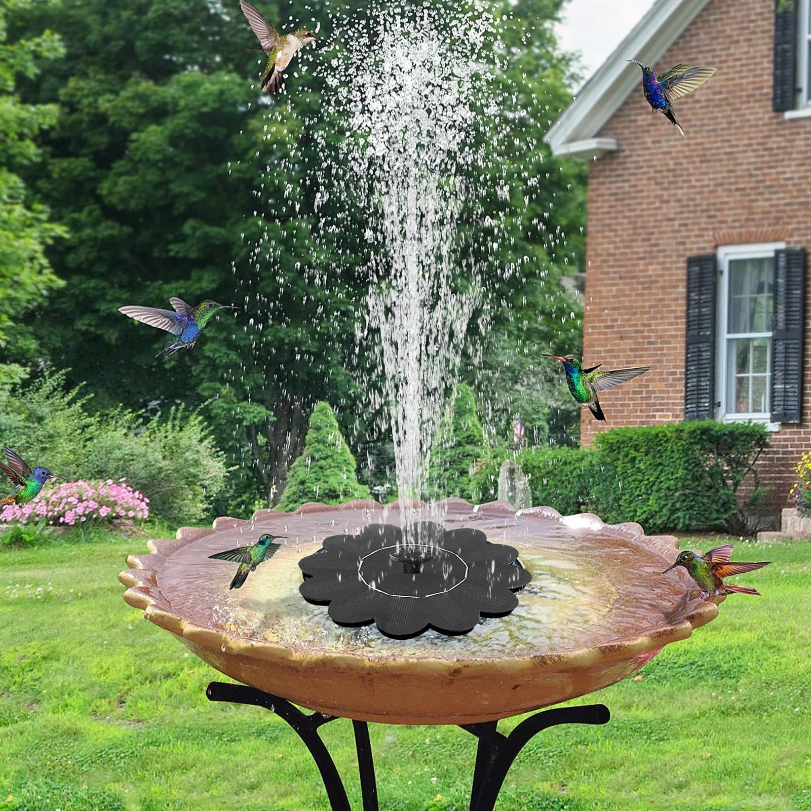 Kolibris trinken aus einem Solar-Vogelbad mit einem Wasserspiel.