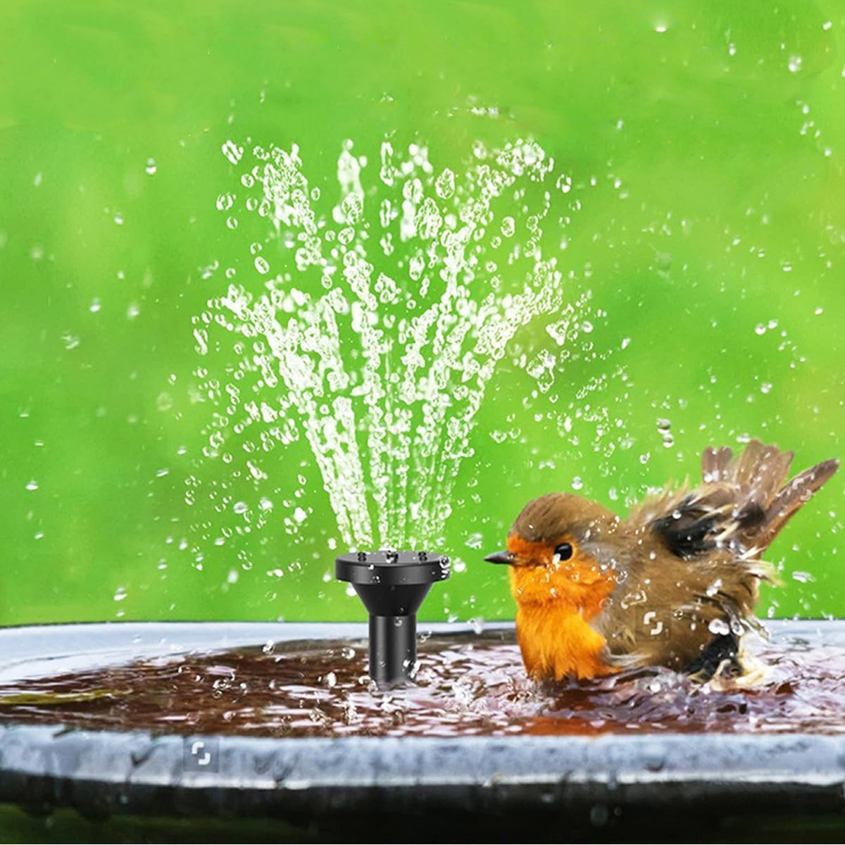 Ein Rotkehlchen badet in einer Vogeltränke mit einem kleinen Wasserspiel.