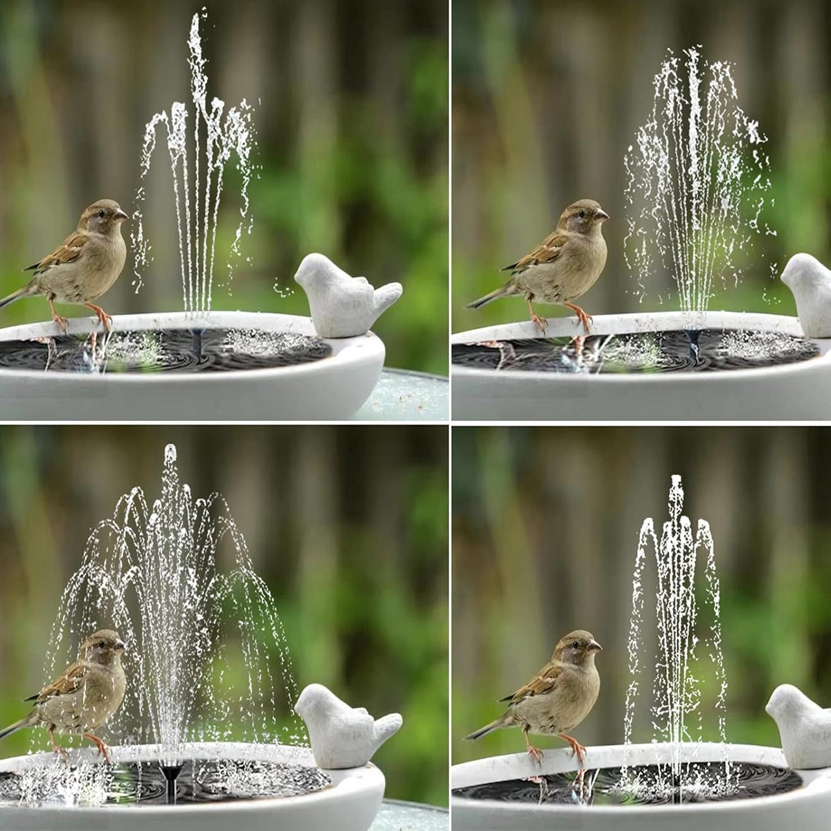 Ein Spatz sitzt auf einem Vogelbad mit einem kleinen Brunnen und einer Vogelverzierung.