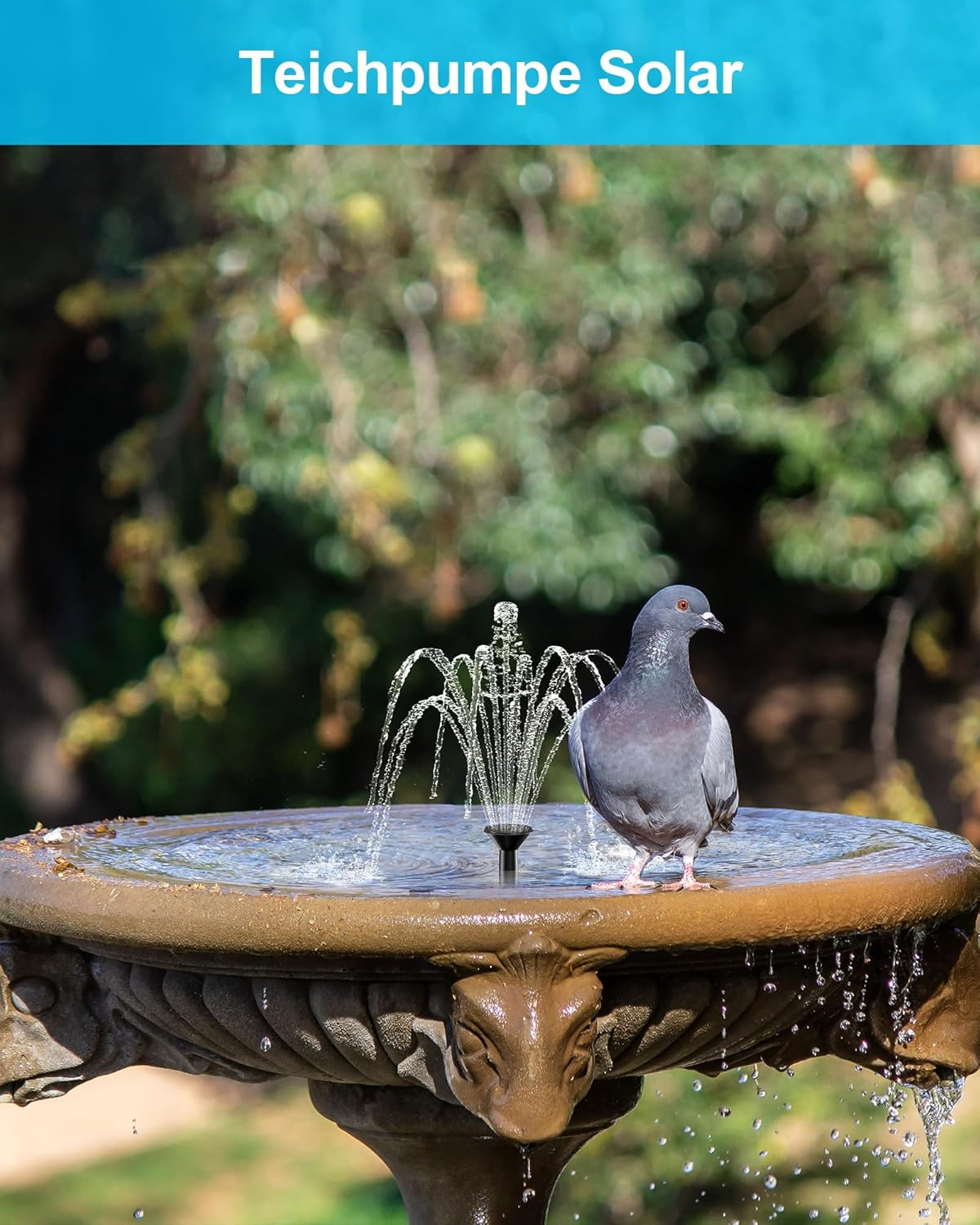 Eine Taube steht auf einem Brunnen mit einem Solar-Teichpumpenstrahl.