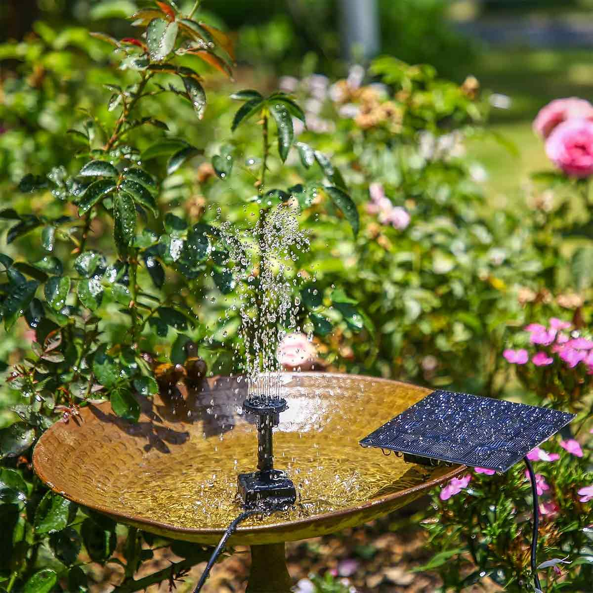 Ein Solar-Brunnen pumpt Wasser in eine Vogeltränke, umgeben von Rosen.