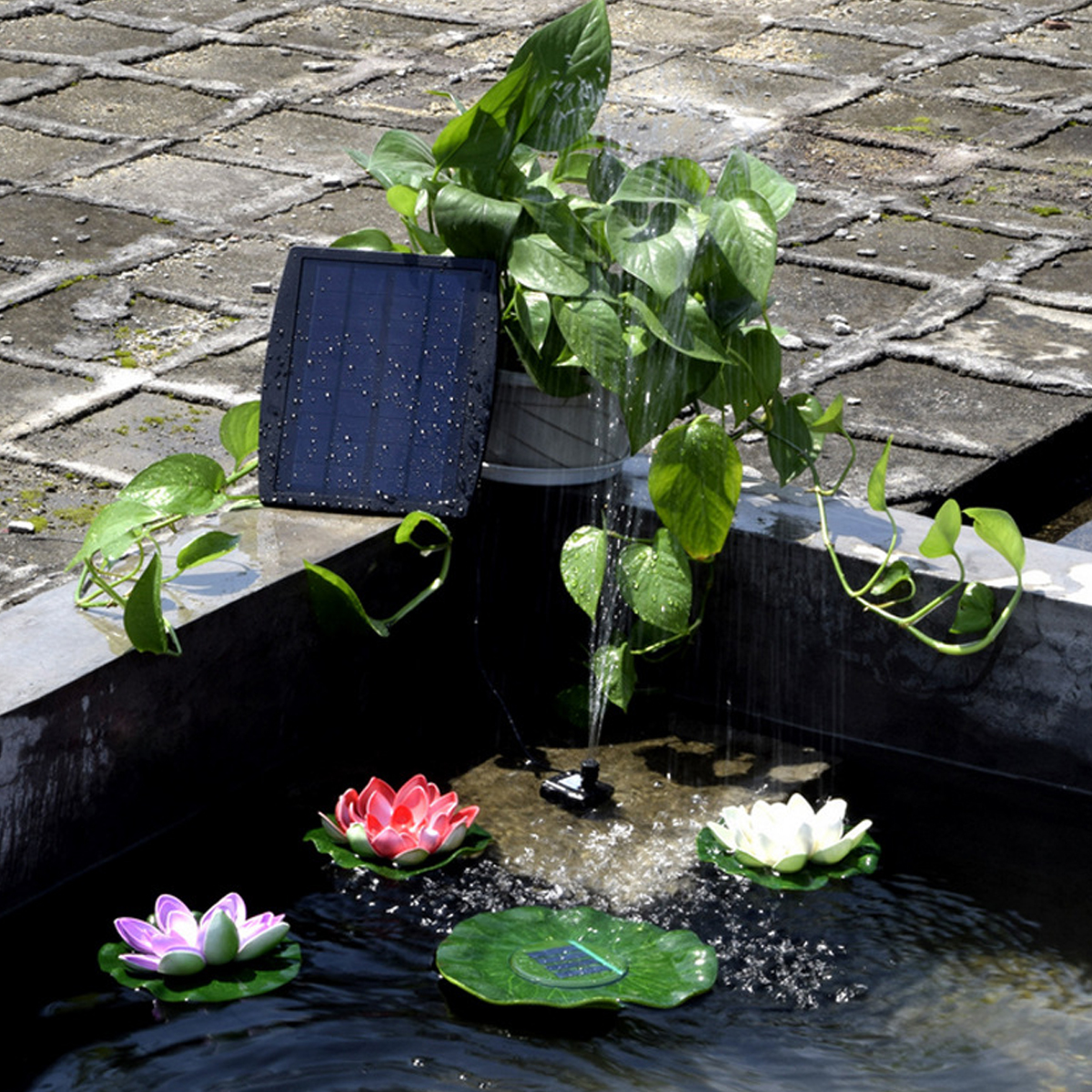 Solarpanel betreibt Springbrunnen im Teich mit schwimmenden Lotusblumen und üppigen grünen Pflanzen.