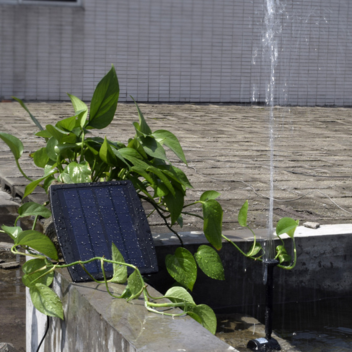Ein Solarpanel betreibt einen kleinen Brunnen, umgeben von grünen Pflanzen.