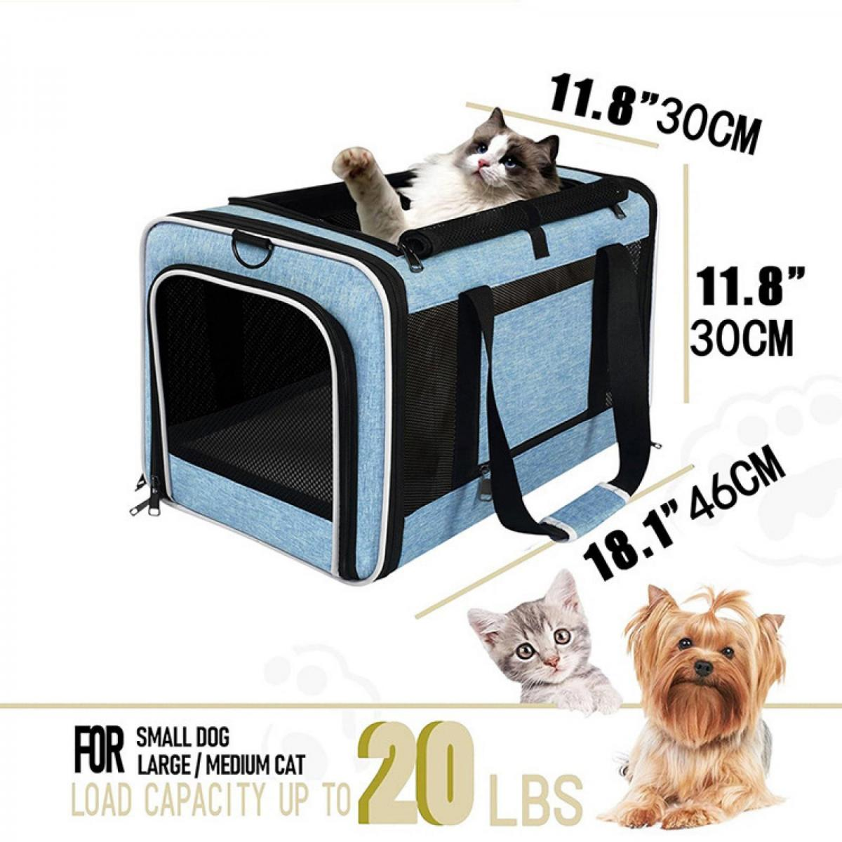 Blauer Transportkorb für Haustiere mit einer Katze, einem Kätzchen und einem Hund.