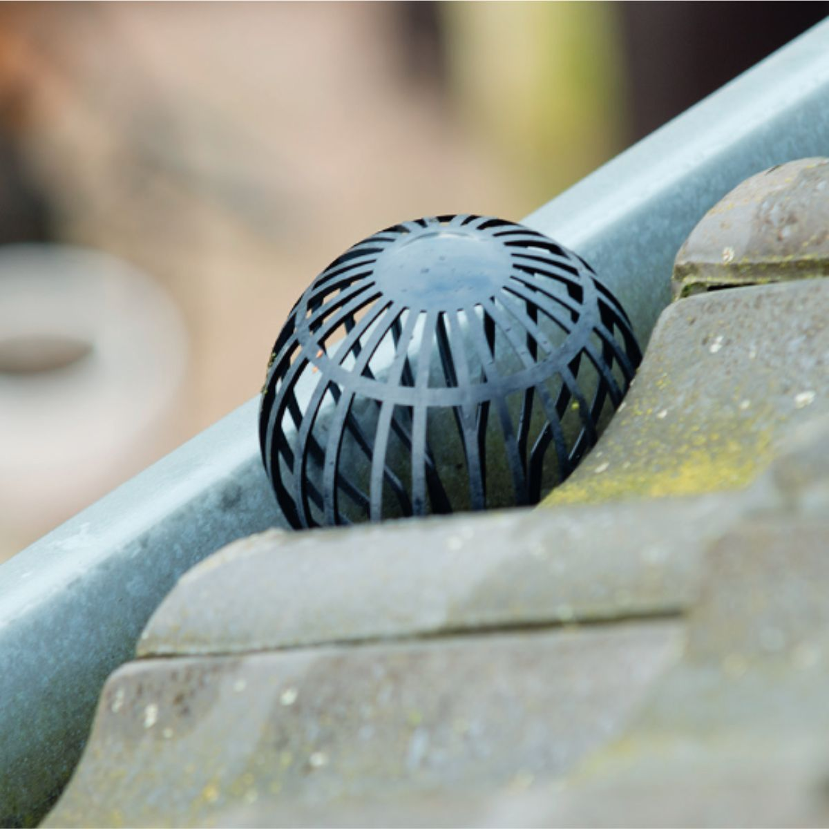 A black grate basket sits in a gutter next to gray roof tiles.