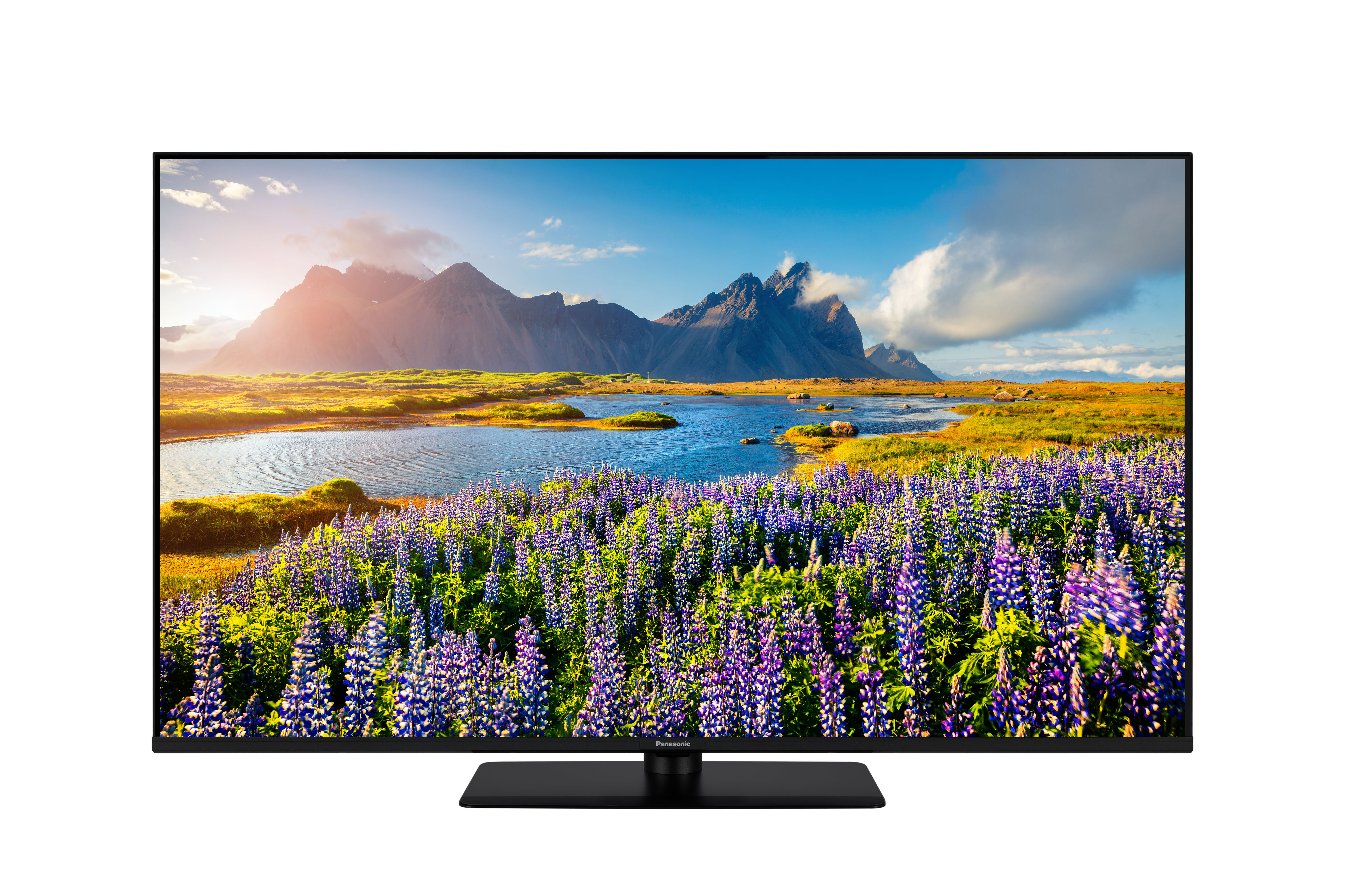 Ein Fernseher zeigt eine Landschaft mit lupinen, einem See und Bergen.