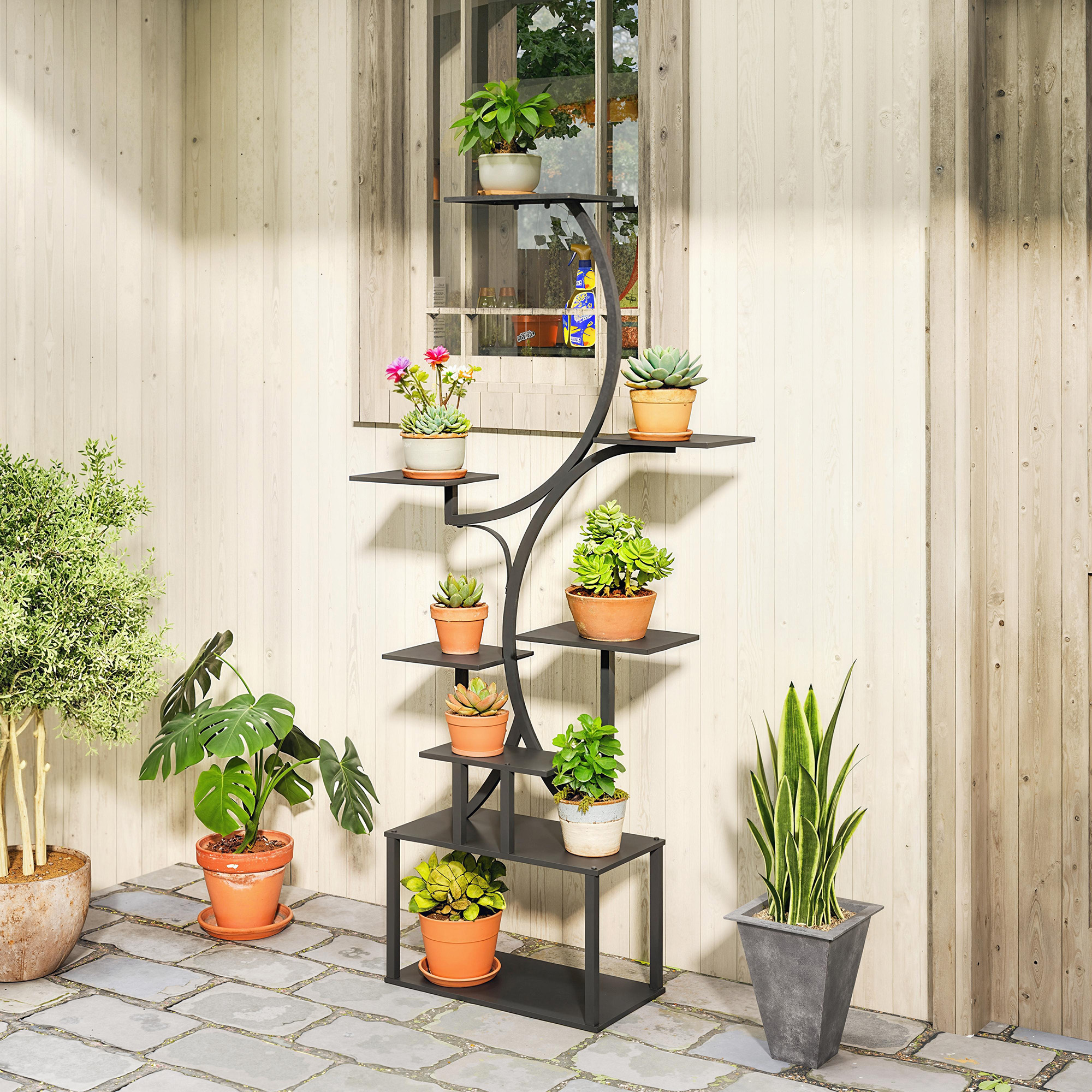 Un espositore nero a più livelli espone diverse succulente e fiori.