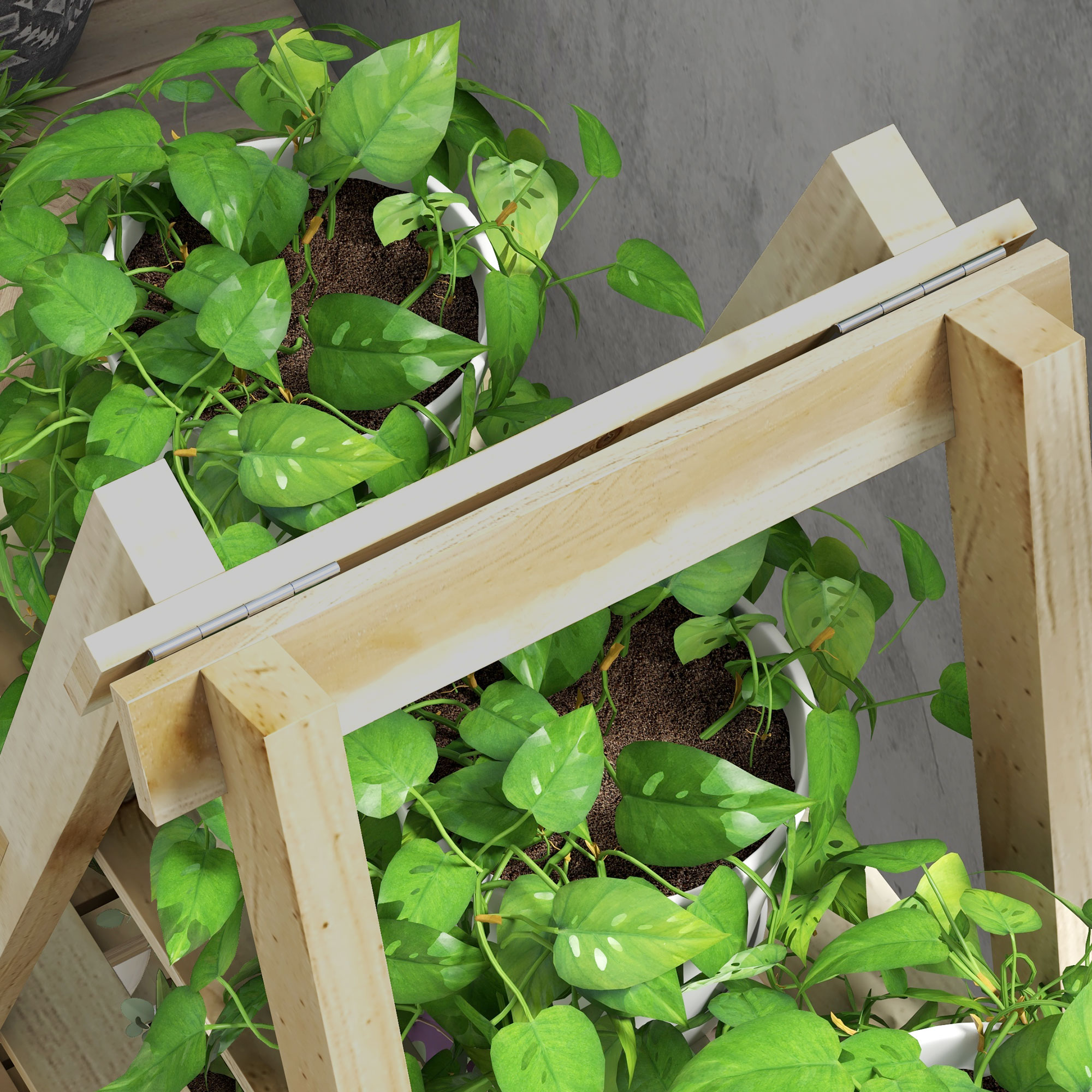 Piante verdi in vaso con macchie chiare su uno scaffale di legno.