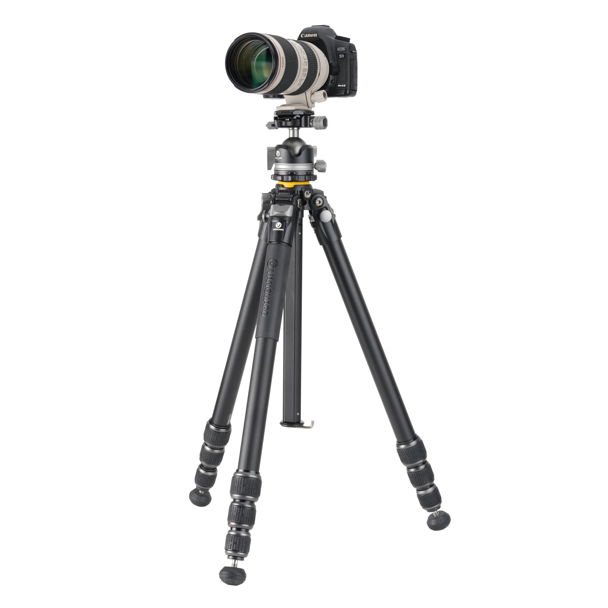 Una cámara Canon EOS 5D Mark III con un objetivo sobre un trípode negro.