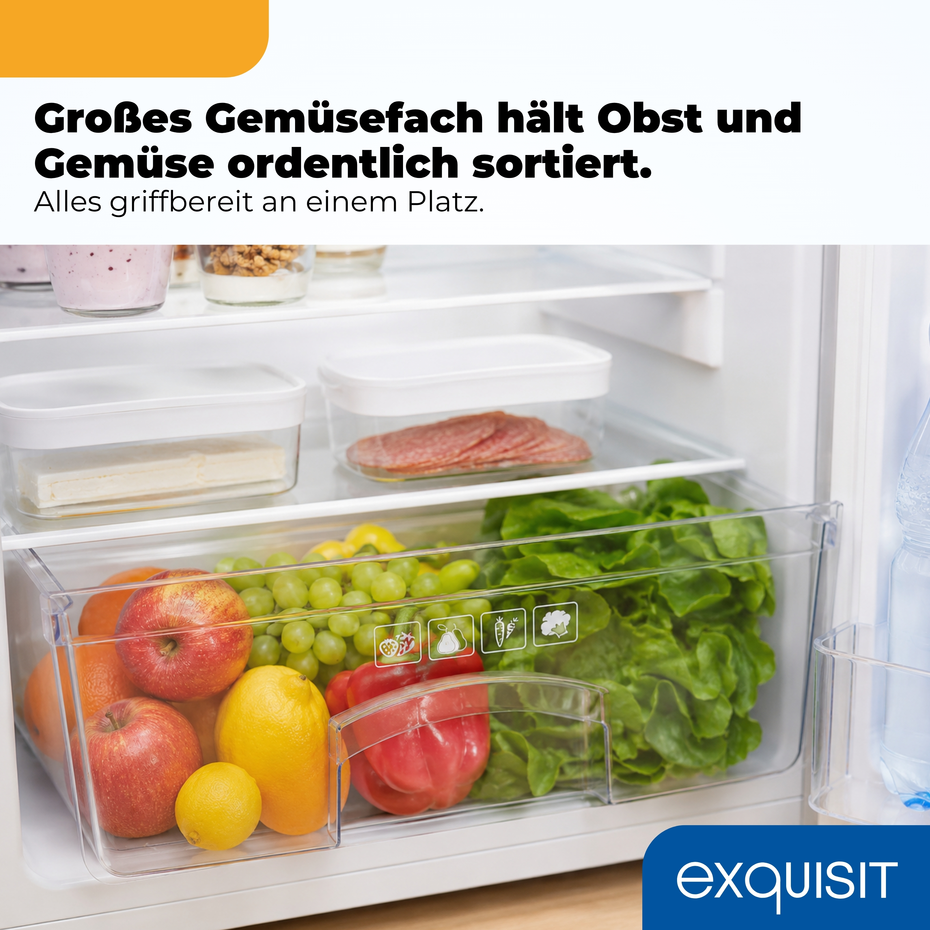 Ein Kühlschubfach mit Äpfeln, Trauben, Zitrone, Paprika und Salat.