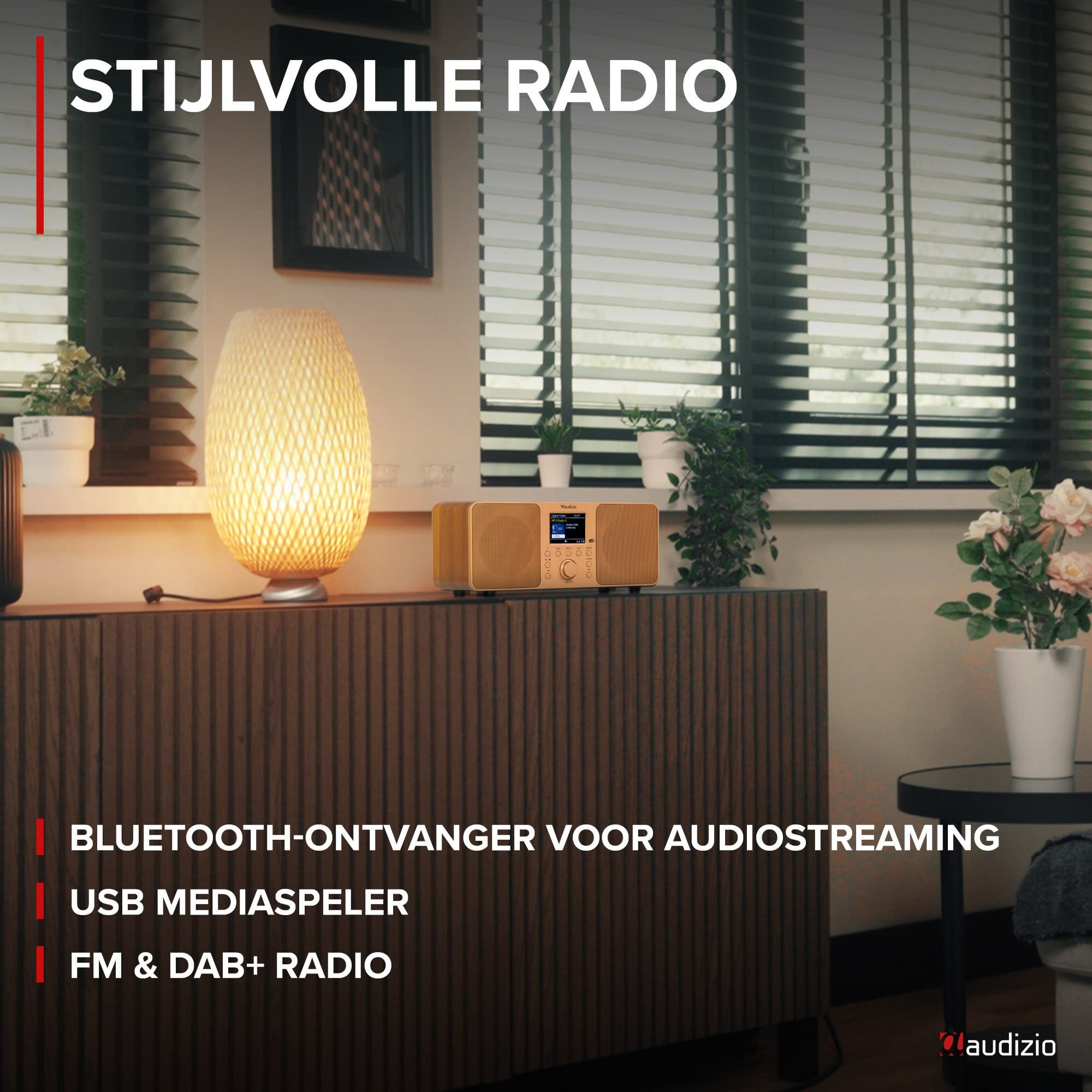 Stilvolles Radio mit Holzmaserung, Lampe, Pflanzen und Blumen.