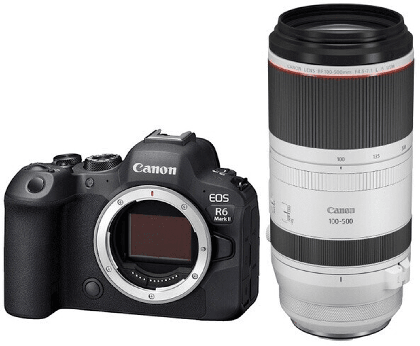 Een zwarte Canon EOS R6 Mark II camera met een witte Canon RF 100-500mm lens.