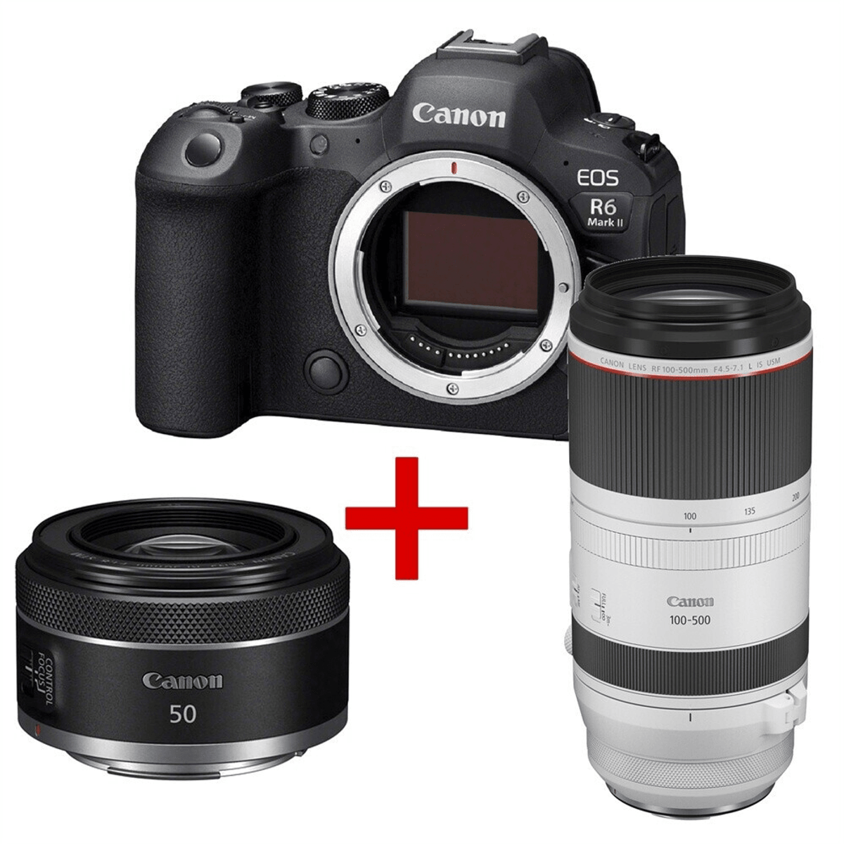 Canon EOS R6 Mark II camera met twee lenzen: 50mm en 100-500mm.