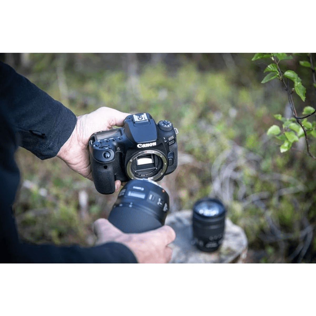 Una persona tiene una fotocamera Canon EOS 90D nera, staccando un obiettivo. Un altro obiettivo è su una roccia.