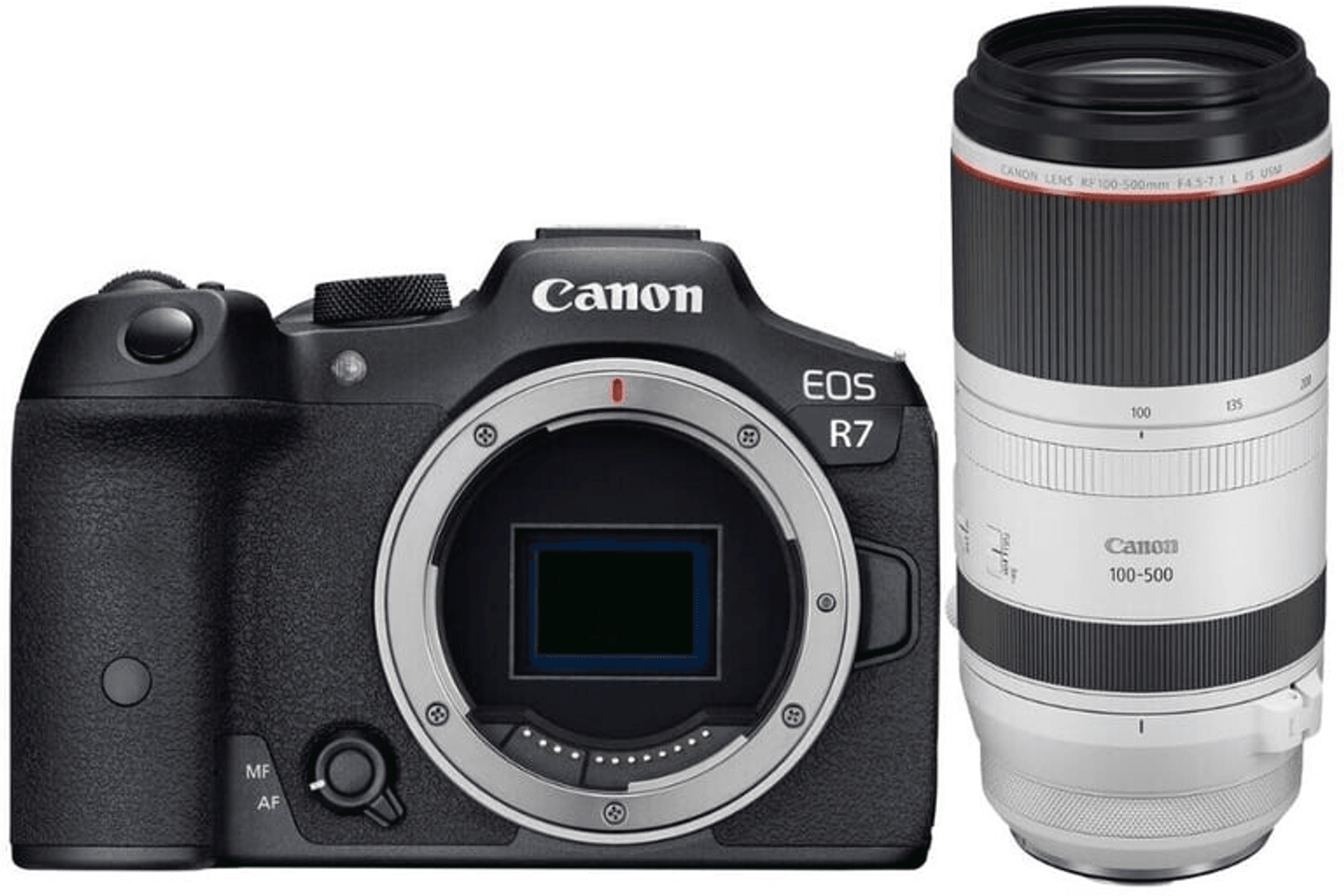 Een Canon EOS R7 camera naast een Canon RF 100-500mm lens.