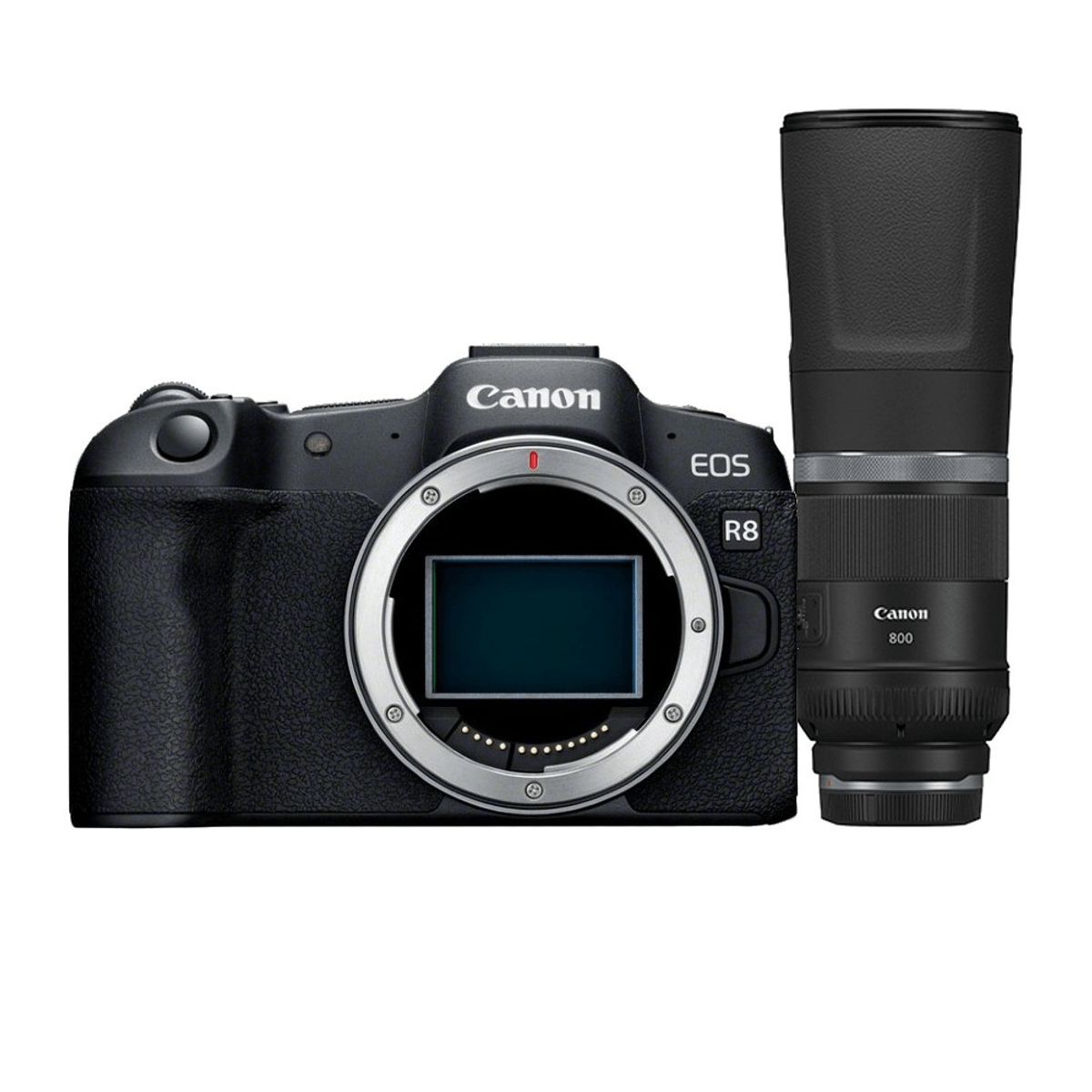 Cámara Canon EOS R8 negra con montura de lente expuesta, junto a un lente Canon 800mm.