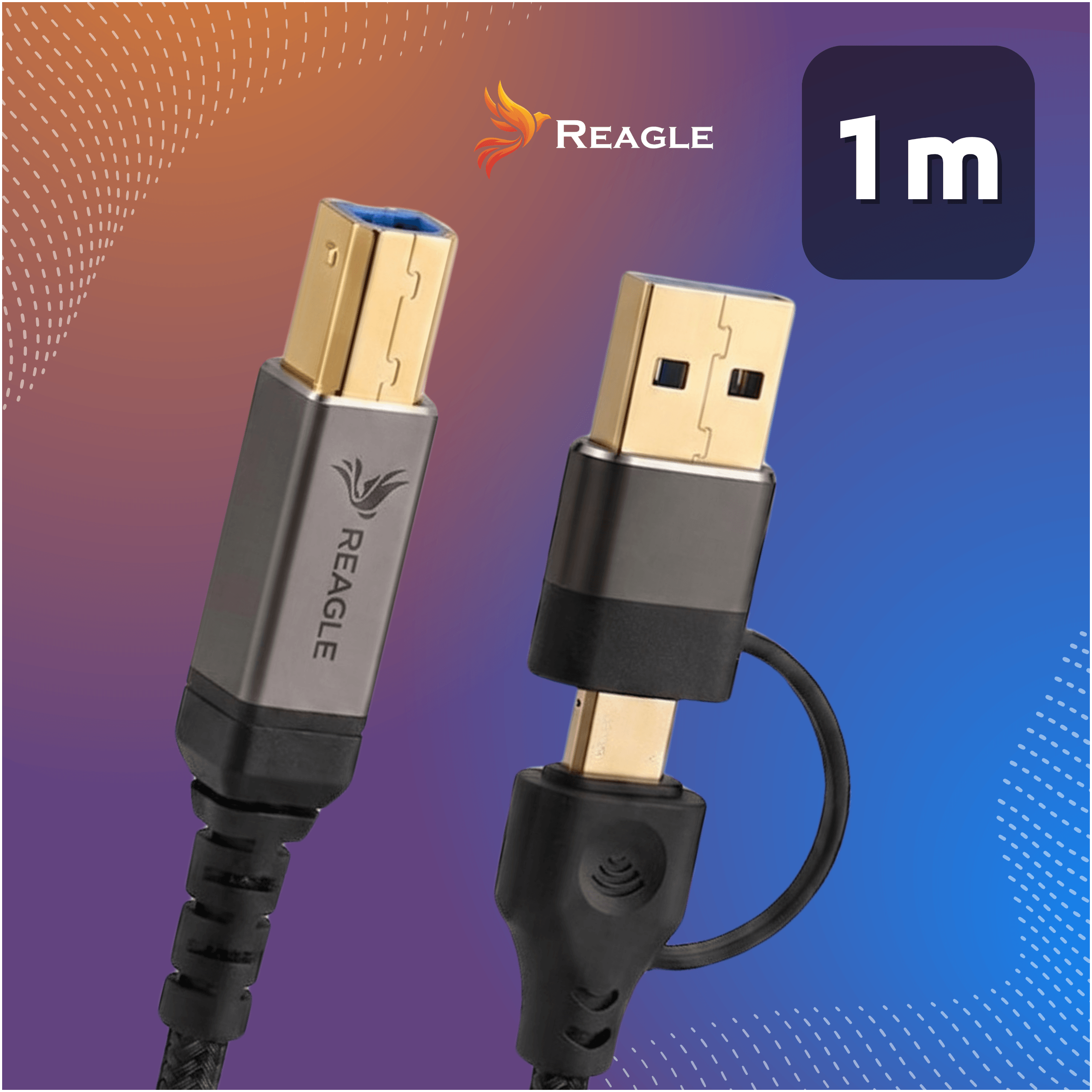 Zwei goldene USB-Stecker mit Kabeln auf buntem Hintergrund. 1m.