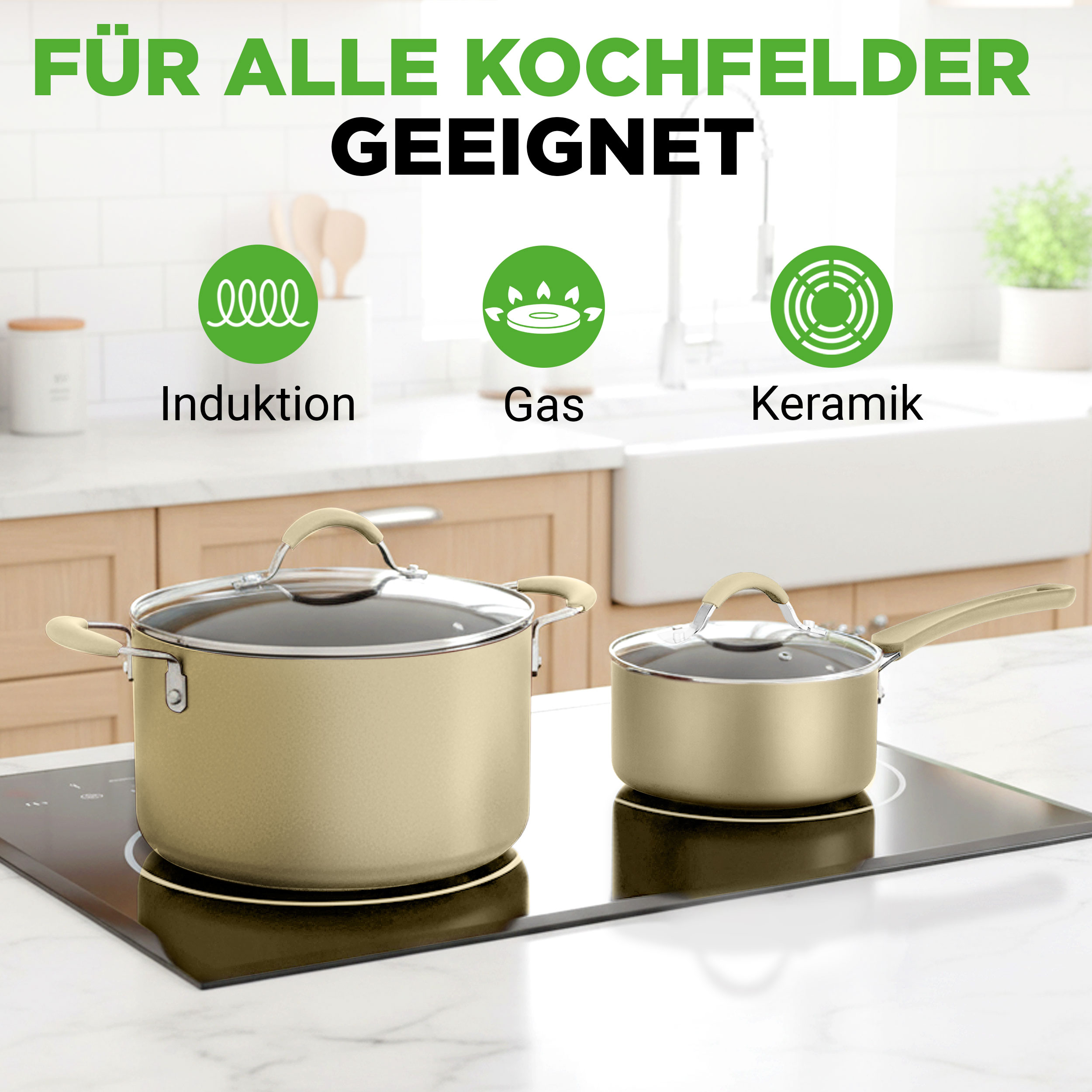 Zwei goldene Kochtöpfe auf einem Induktionskochfeld, mit Symbolen für Induktion, Gas und Keramik.