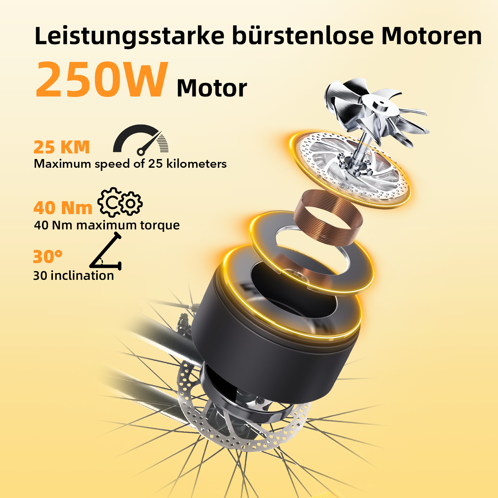 Ein explodierter Blick auf einen 250W E-Bike-Motor mit Spezifikationen.