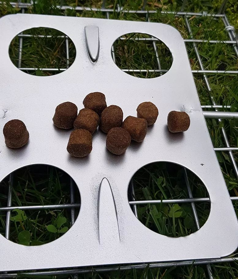 Több barna pellet pihen egy fém tálcán, fű felett.