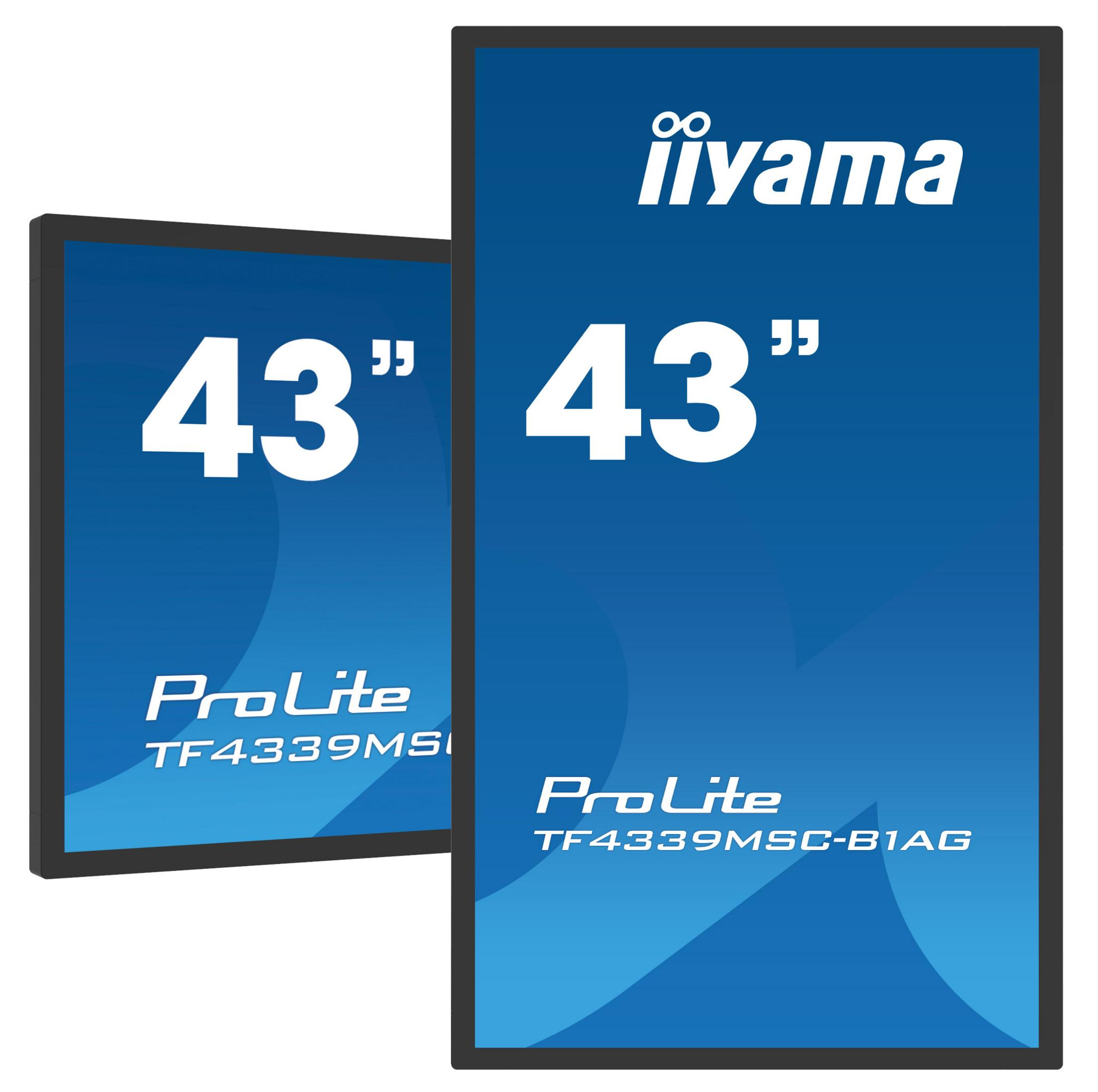 Due monitor iiyama ProLite da 43 pollici con sfondo blu.
