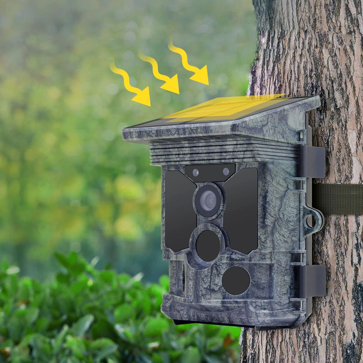 Eine Tarnkamera mit Solarpanel ist an einem Baum befestigt. Gelbe Pfeile zeigen Sonnenlicht.