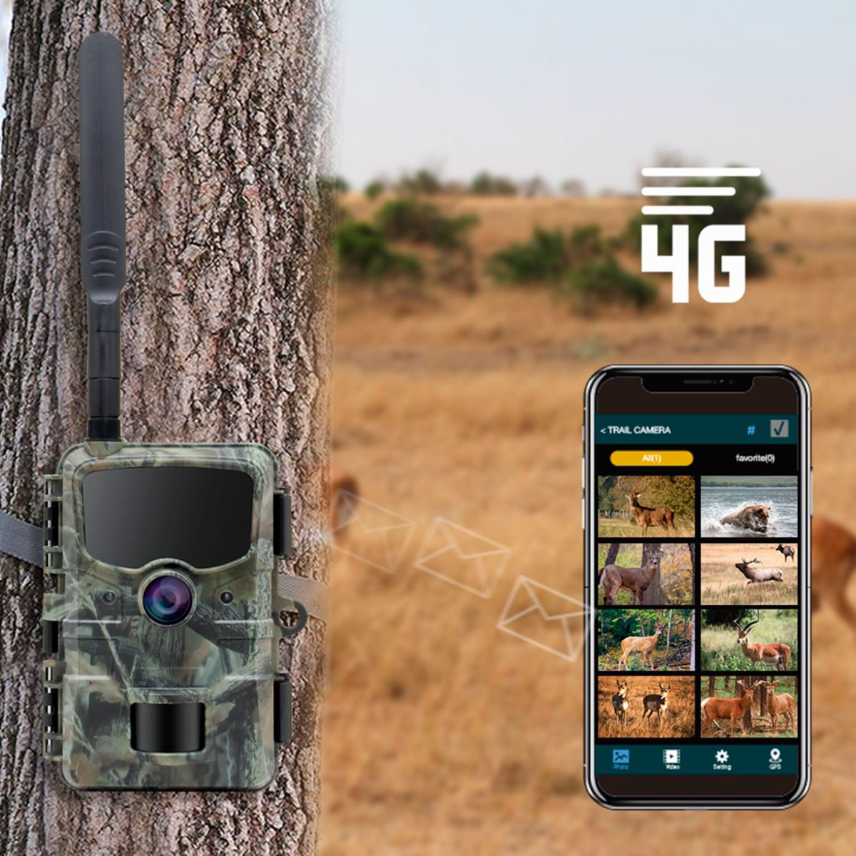 Eine Wildkamera an einem Baum mit 4G-Symbol und Handy-App mit Tierbildern.