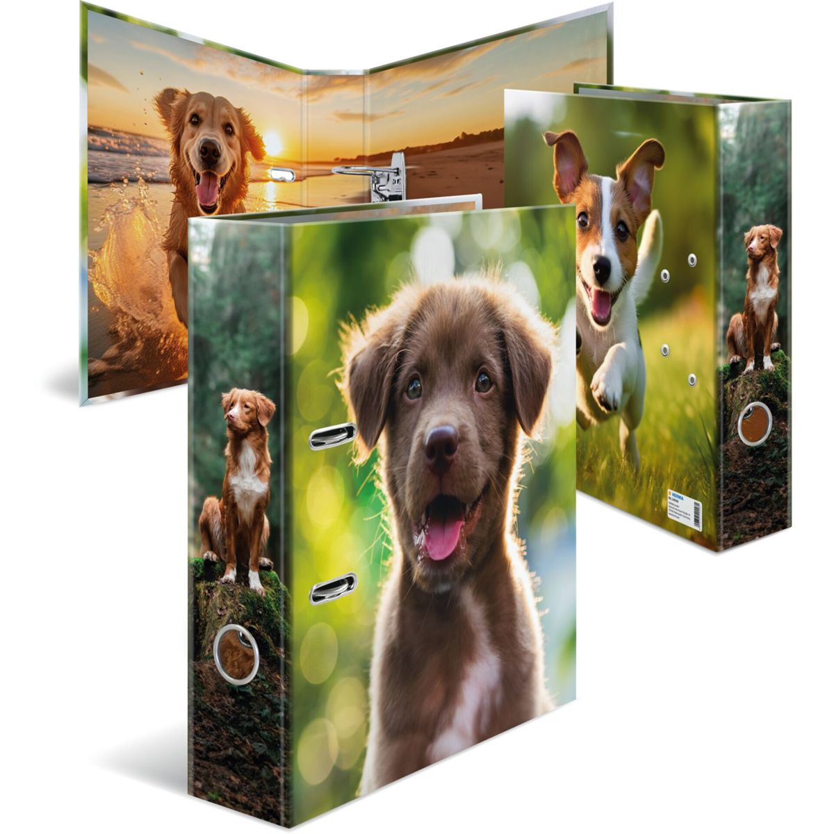 Drei Ordner mit Hundeaufdrucken. Nahaufnahme eines braunen Welpen.
