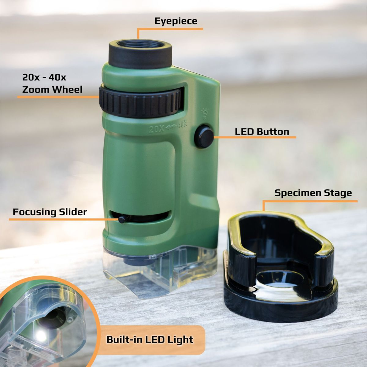 Grünes tragbares Mikroskop mit Zoom, Fokus, LED-Taste und Probenhalterung.