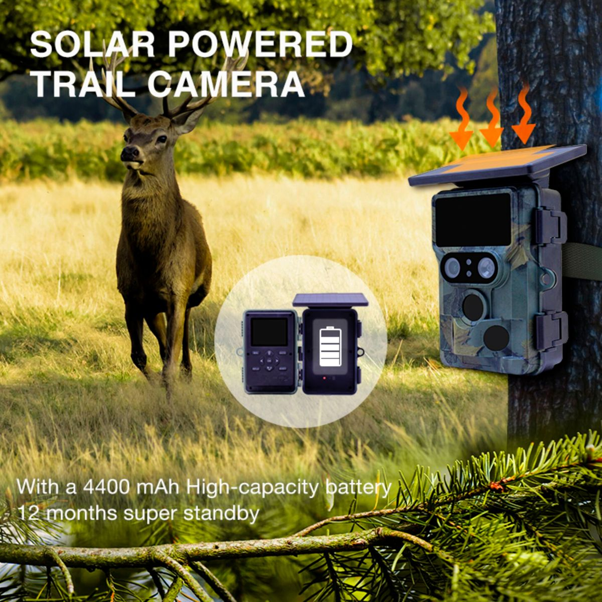 Solar-Wildkamera mit Hirsch im Feld und Akku-Anzeige.