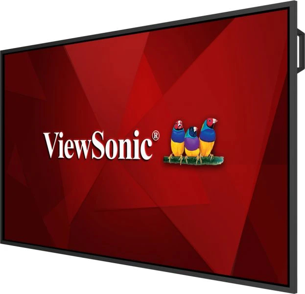 Duży ekran z logo ViewSonic i trzema kolorowymi ptakami siedzącymi na gałęzi.