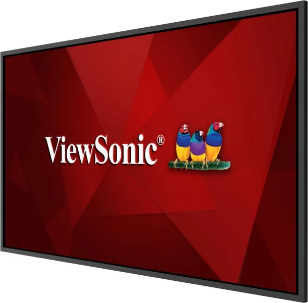 Un monitor ViewSonic mostra uno sfondo rosso con tre uccelli colorati.