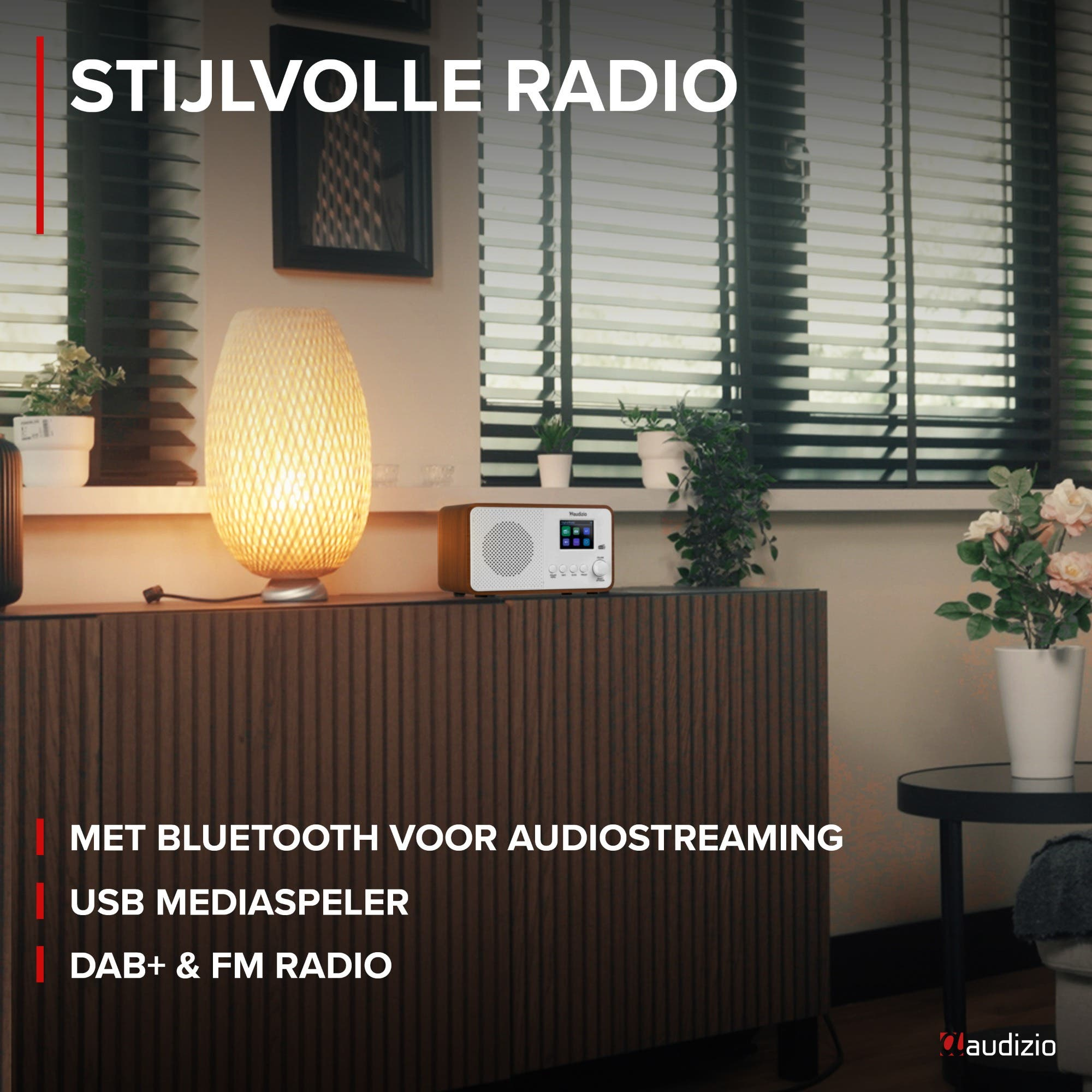 Radio élégante avec Bluetooth, USB, radio DAB+ et FM.