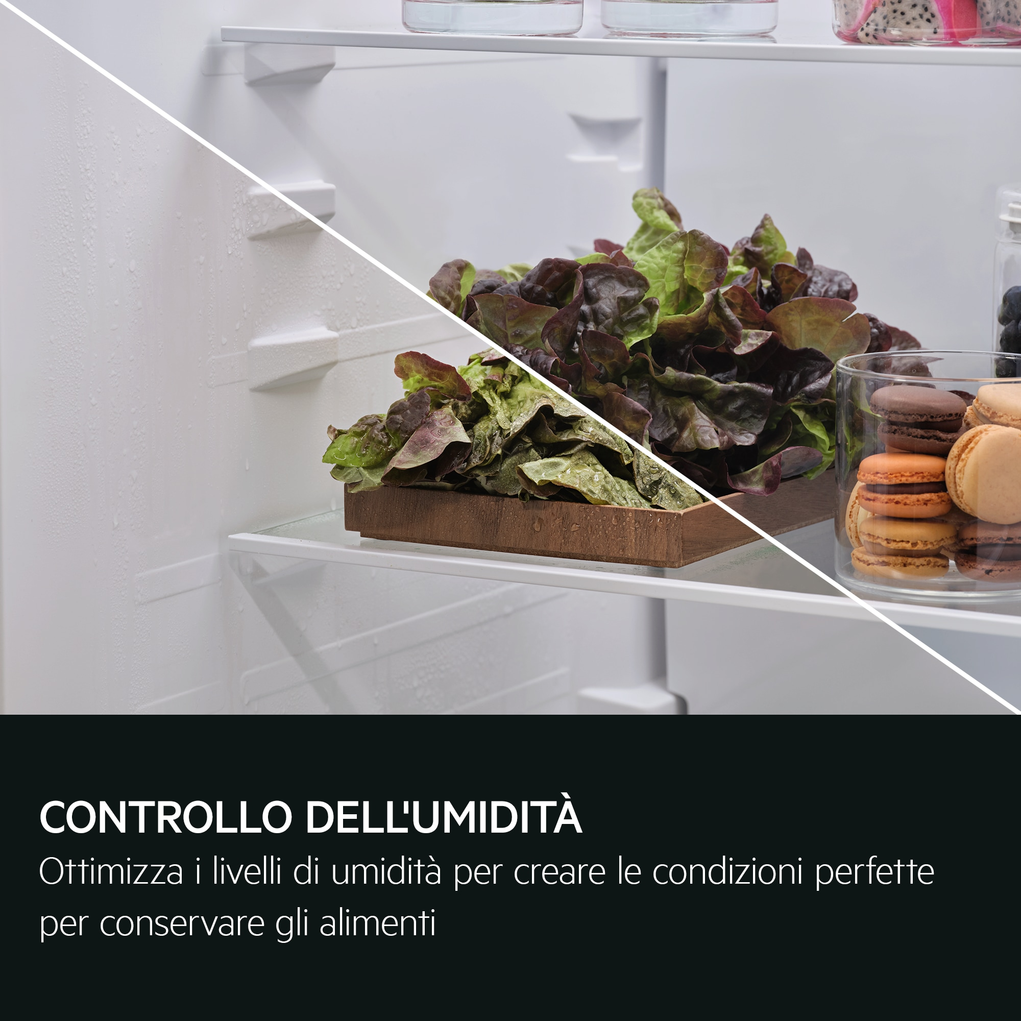 Un cajón de refrigerador con lechuga y macarons. Humedad en la pared.