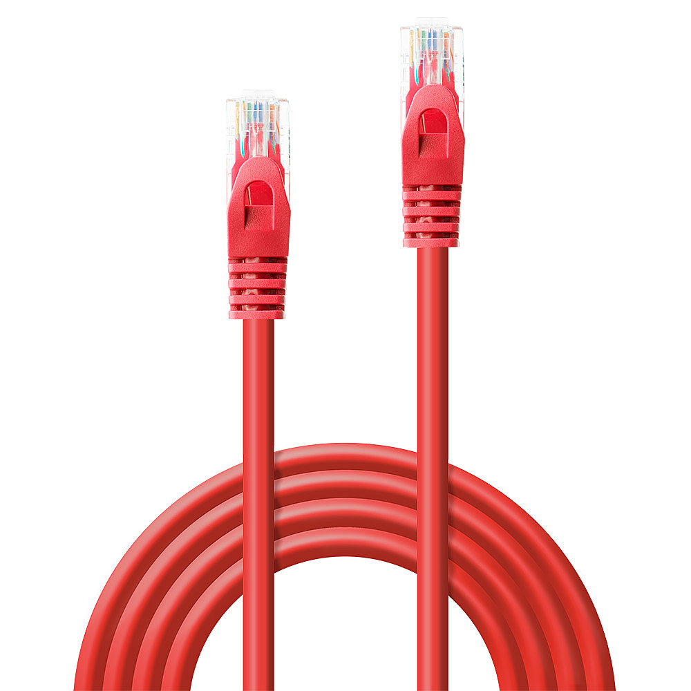 Dos cables de red rojos con conectores transparentes sobre fondo blanco.
