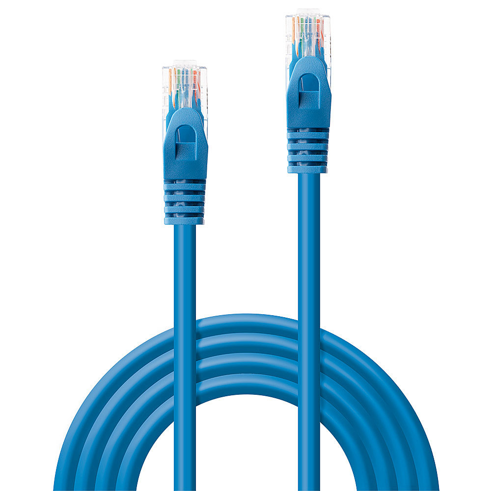 Dwa niebieskie kable Ethernet z przezroczystymi złączami i kolorowymi przewodami.