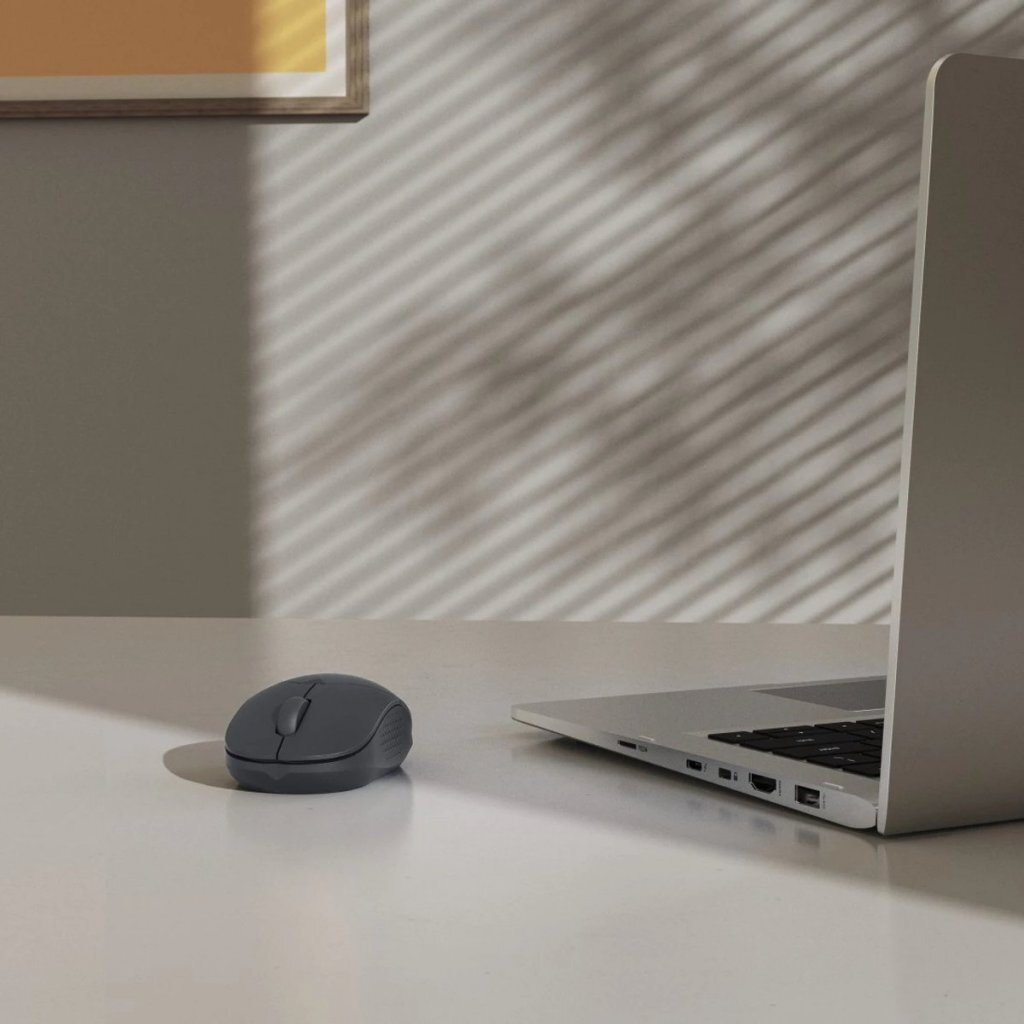 Mouse e laptop grigi su una scrivania con luce a strisce dalla finestra.