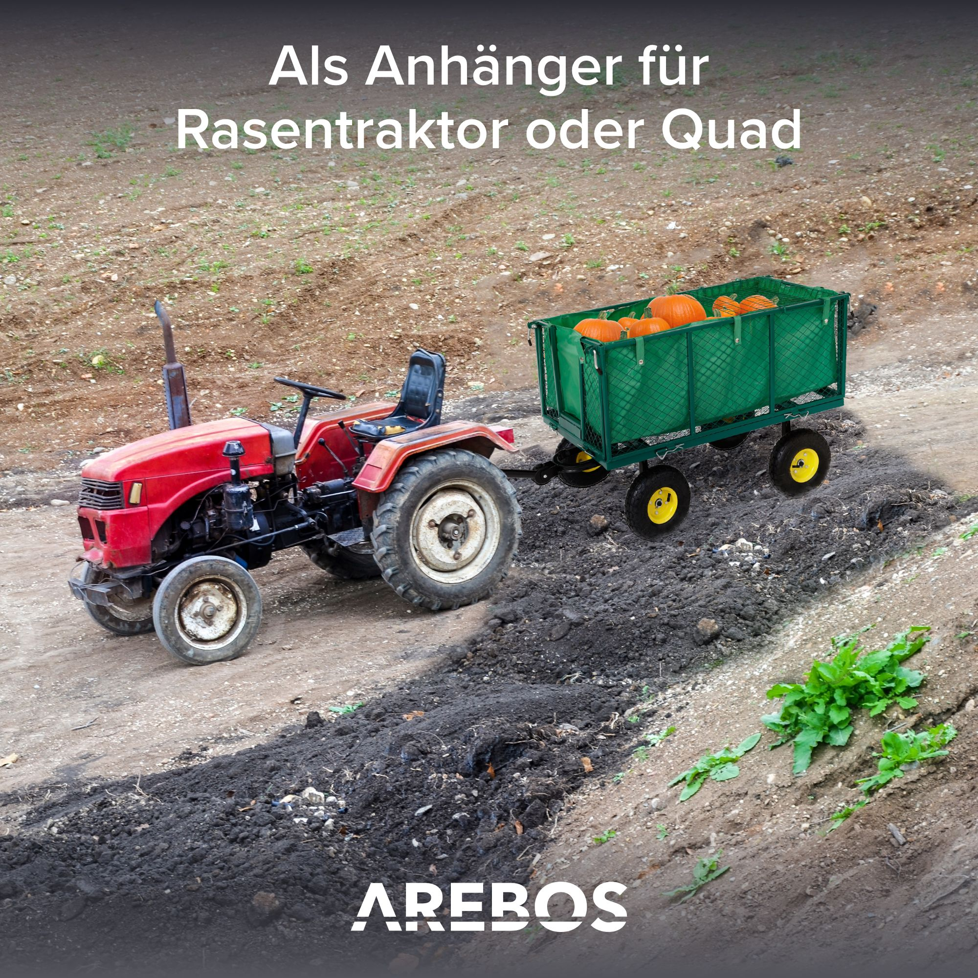 Ein roter Traktor zieht einen grünen Anhänger mit Kürbissen.