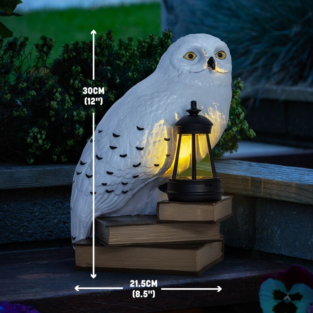 Estatua de búho blanco con linterna sobre libros, iluminada.