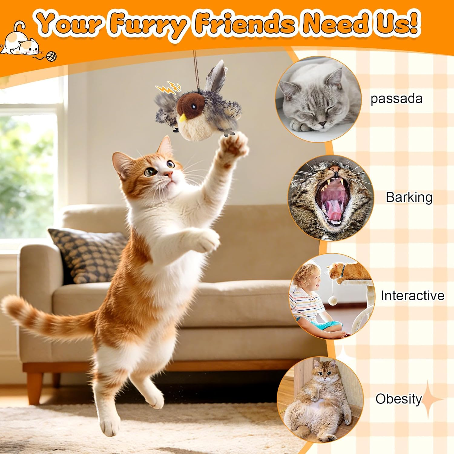 Eine orange-weiße Katze springt nach einem Vogelspielzeug; daneben sind Katzenbilder.