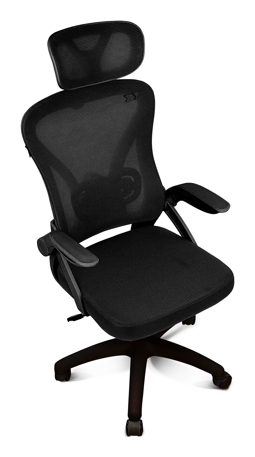 Una silla de oficina negra con respaldo de malla y brazos ajustables, sobre fondo blanco.