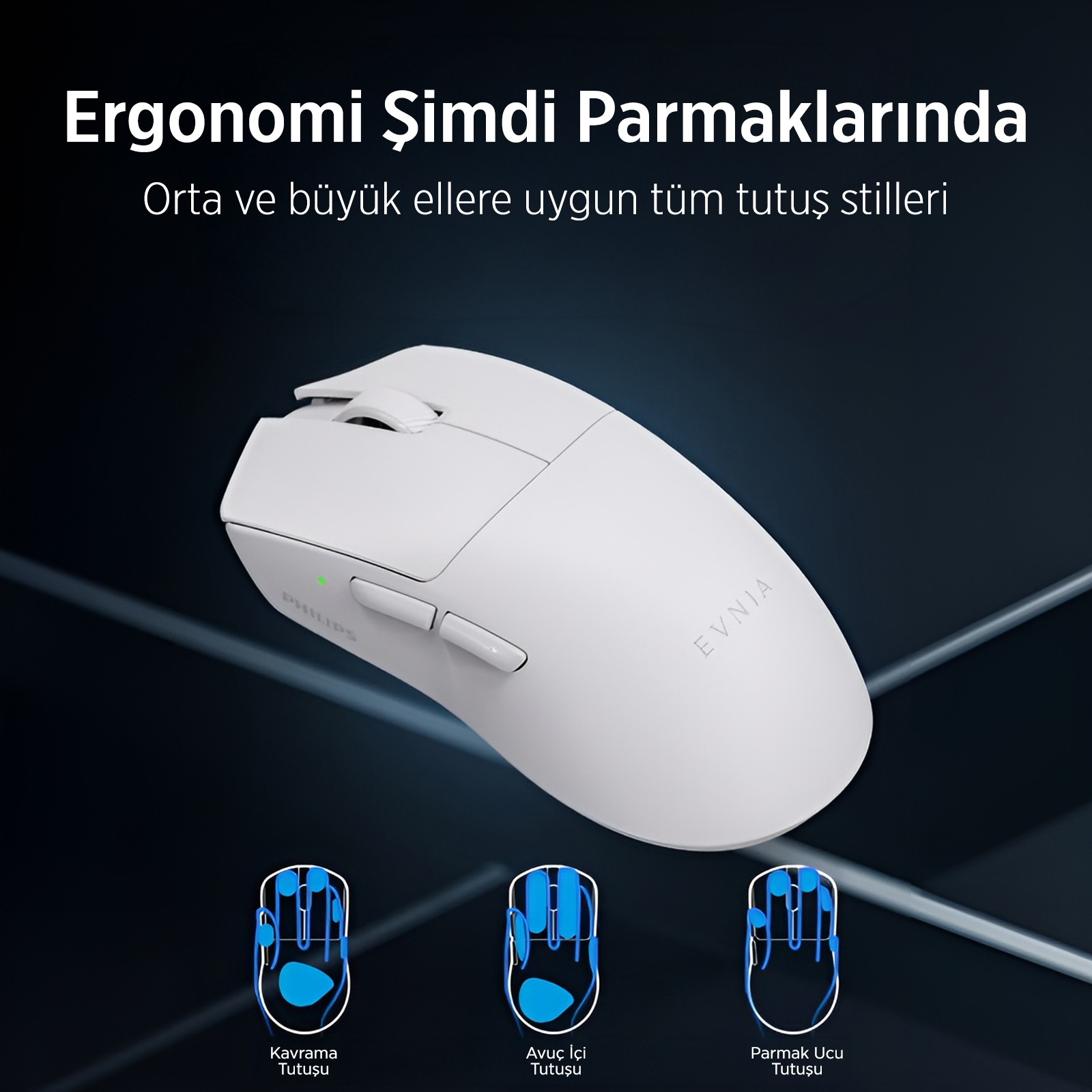 Avuç, pençe ve parmak ucu tutuş stillerine sahip beyaz fare.