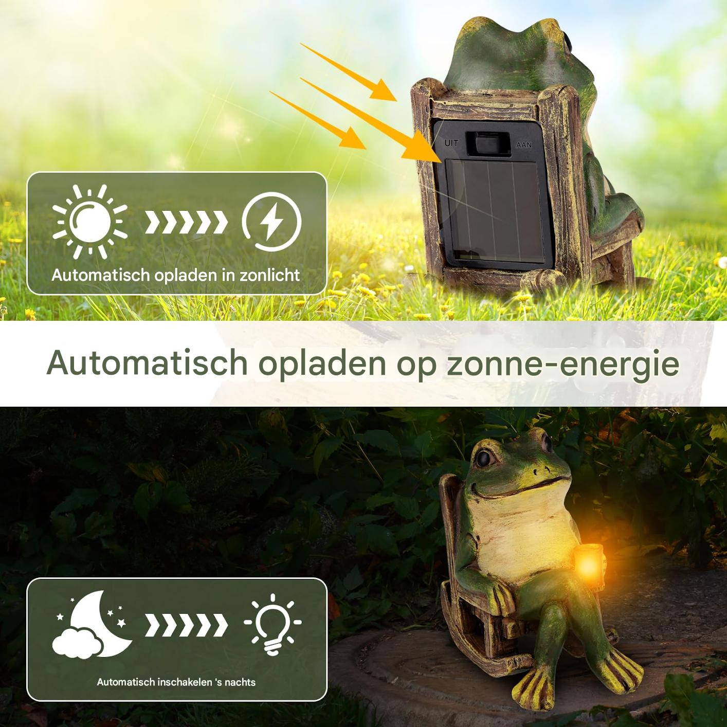 Froschfigur mit Solarladung, lädt bei Sonnenlicht und leuchtet nachts.