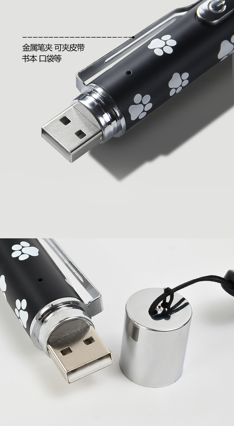 Ein schwarzer USB-Stick mit weißen Pfotenabdrücken und einer silbernen Kappe.