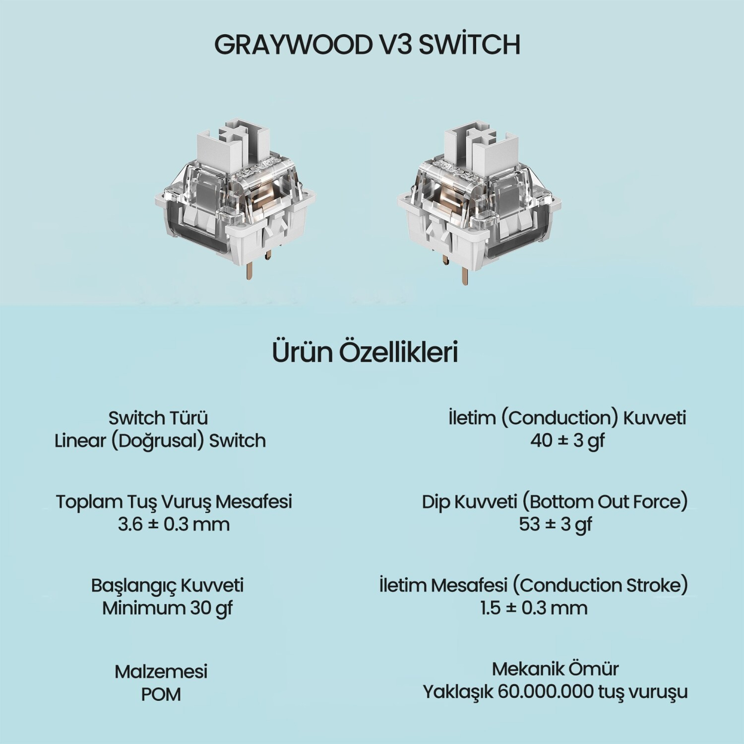 GRAYWOOD V3 SWITCH etiketli iki beyaz ve şeffaf mekanik klavye anahtarı.