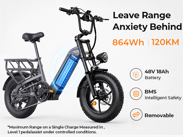 Elektrofahrrad mit sichtbarem Akku, 864Wh, 120km Reichweite, 48V 18Ah.
