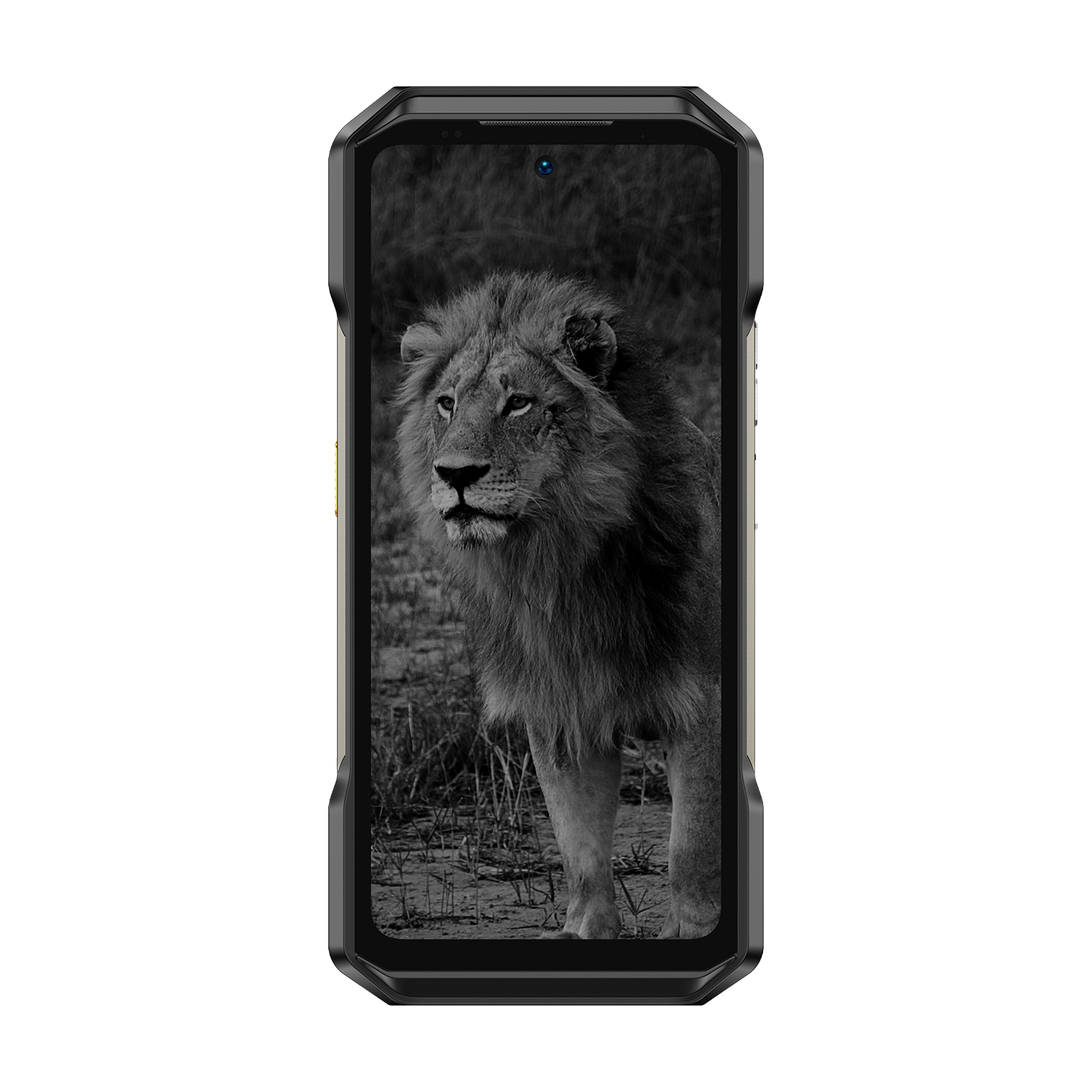 Un leone con criniera si erge all'aperto sullo schermo di uno smartphone.